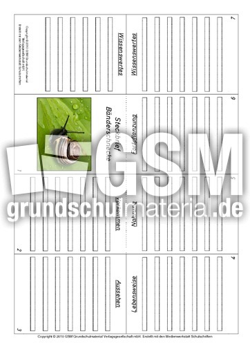 Faltbuch-Bänderschnecke.pdf